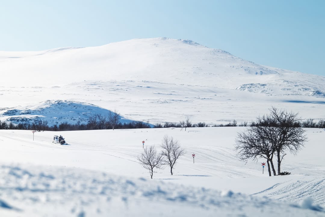 Funäsfjällens Ledbolag