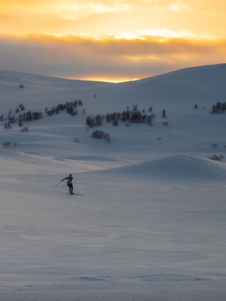 Funäsfjällens Ledbolag