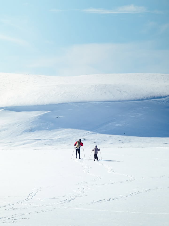 Funäsfjällens Ledbolag