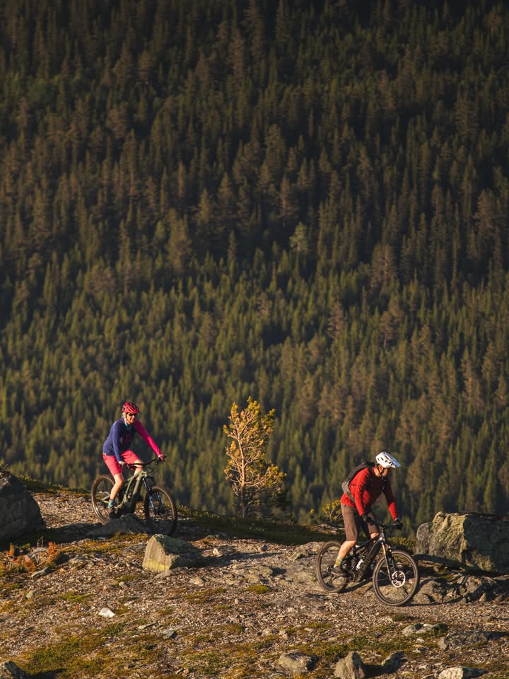 Funäsfjällens Ledbolag